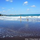 삼양해수욕장 이미지