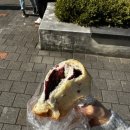 식빵공방 네이버블로그