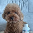 (주)아이펫 이미지