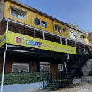 도그베이 동백점 이미지