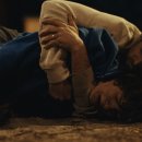 애니멀킹덤 이미지