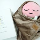주식회사 더와이즈