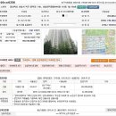 양덕동115 이미지