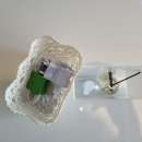 케렌시아캠핑장 이미지