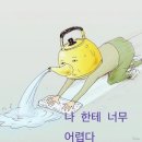 5월의 신부