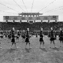 수원-1633 티스토리