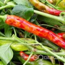 진천군농업기술센터 이미지