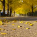 의동마을 이미지