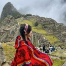 미겔리또 이미지