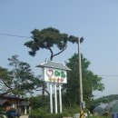인천 맛집 `이화 찹쌀순대` 이미지