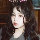 여름의 숲 이미지