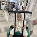 폴인럽제주 | 제주 여름 휴가