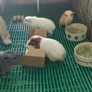 글사랑스터디 | [청풍's 고마운일기] 2018.07.19, 뜨거운 여름에 고맙습니다