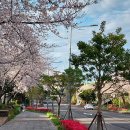 벙커호텔앤리조트 이미지