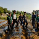 새사랑농장 이미지