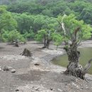 주왕산공원 탐방안내소 이미지