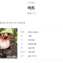 (주)베타인