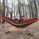 대천해수욕장 야영장 이미지