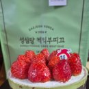 카페인시루