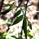 개산초등학교 이미지