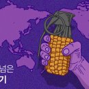 HYG-104 | 원자재 조정... 위기 or 기회?