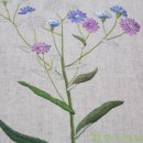 롱앤쇼트