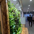 플랜티움 수직정원- 강진군 농업기술센터 Plantium greenwall at Gangjin agricultural technology 이미지