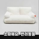 라라펫 | 우리 아이를 위한 진짜 쇼파 찾았다 카무라라펫구름 쇼파
