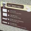 강아지정류장 | 강아지 찜질방 ! 휴일도 부산점 다녀온 리얼후기