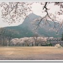 미산초등학교 이미지