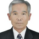 거목 이미지