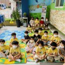 (주)펫둥이 이미지