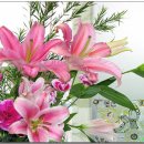 꽃이 피고 비가 내리면 이미지