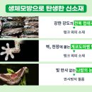 자연을뜨다