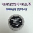 카라스페이스 | 카라스트로피 러쉬 쿨링 진정팩 추천 | 내돈내산 후기