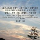 이초석: 교회신문 ＞ 제 1296호 영적 전쟁의 실탄은 성령충만뿐이다 (막1:21~39) 이미지