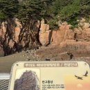 지에스25영종파크드림점 | [하나개 해수욕장 무의도 해상관광탐방로] 썰물때 나타나는 서해 갯벌의 매력🙂 주말 아이와 가볼만한곳...