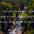 봄날건강원 | 널리건강원의 유근피진액 뜻과 음용후기!