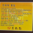 [전주맛집-낭낭오리집] 대패삼겹살만 있나? 담백하고 깔끔한 대패오리불고기 이미지