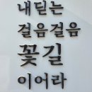 부산진구 체육회 이미지
