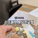 앵무새카페리프패럿분당