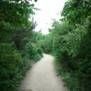 남부순환로 이미지