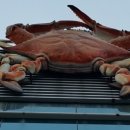 동해해물탕 송정점 이미지