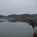 충남3호 Daum카페