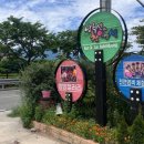 돌담하우스 이미지