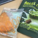 해피 댕 데이 | 2025 12月