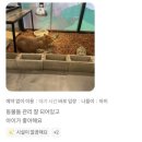 와우쥬 양산점 | 양산 원동미나리축제, 미나리삼겹살 먹고 가볼만한 곳 :) ✨와우쥬 양산점✨