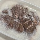 착한곰탕 | 사골육수 맛집 착한한우 한우고기 곰탕 택배 후기