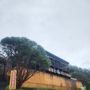 솔섬마을 관광펜션 | 명절 음식 해방! 용문산리조트펜션 솔직 후기