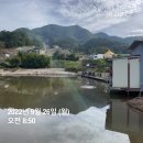 그린좌대낚시터 이미지